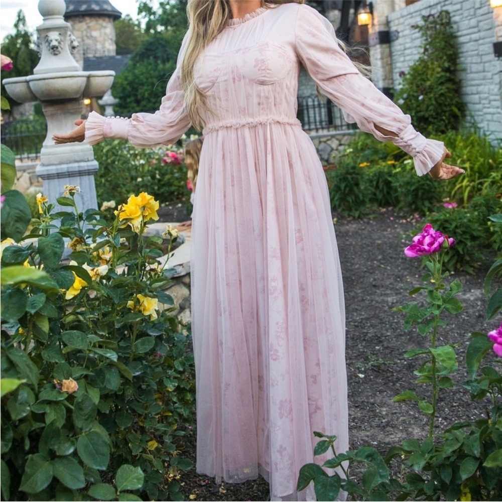 Ivy City Co NWT Last Songbird Pink Fairy Whimsical Modest Midi Dress Medium